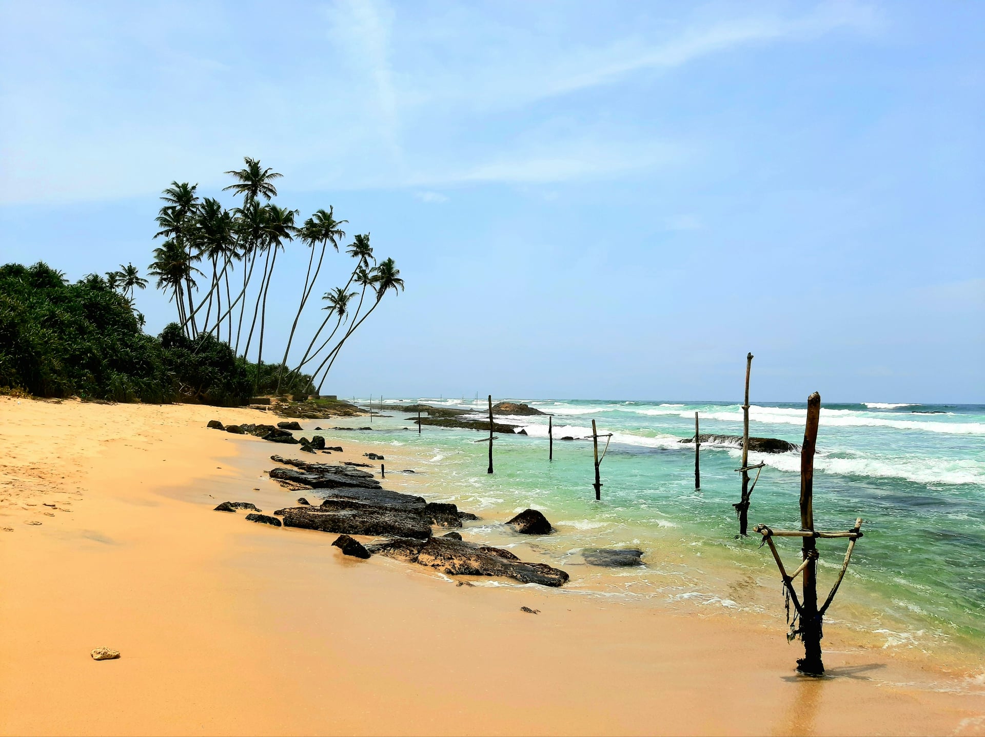 Traditional stilt fishing poles on sandy beach with palm trees