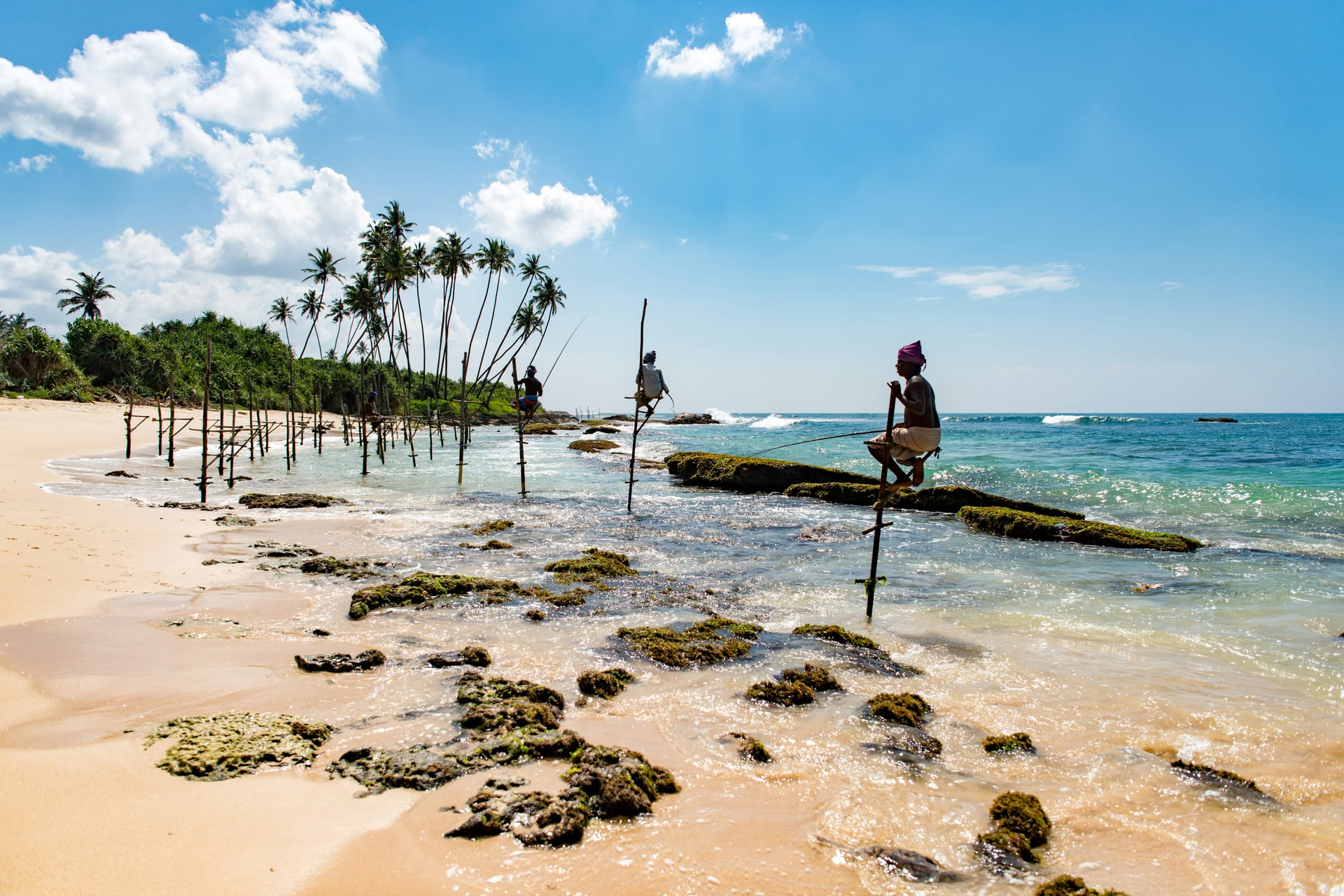 Traditional stilt fishermen perched on poles above the southern coast sea