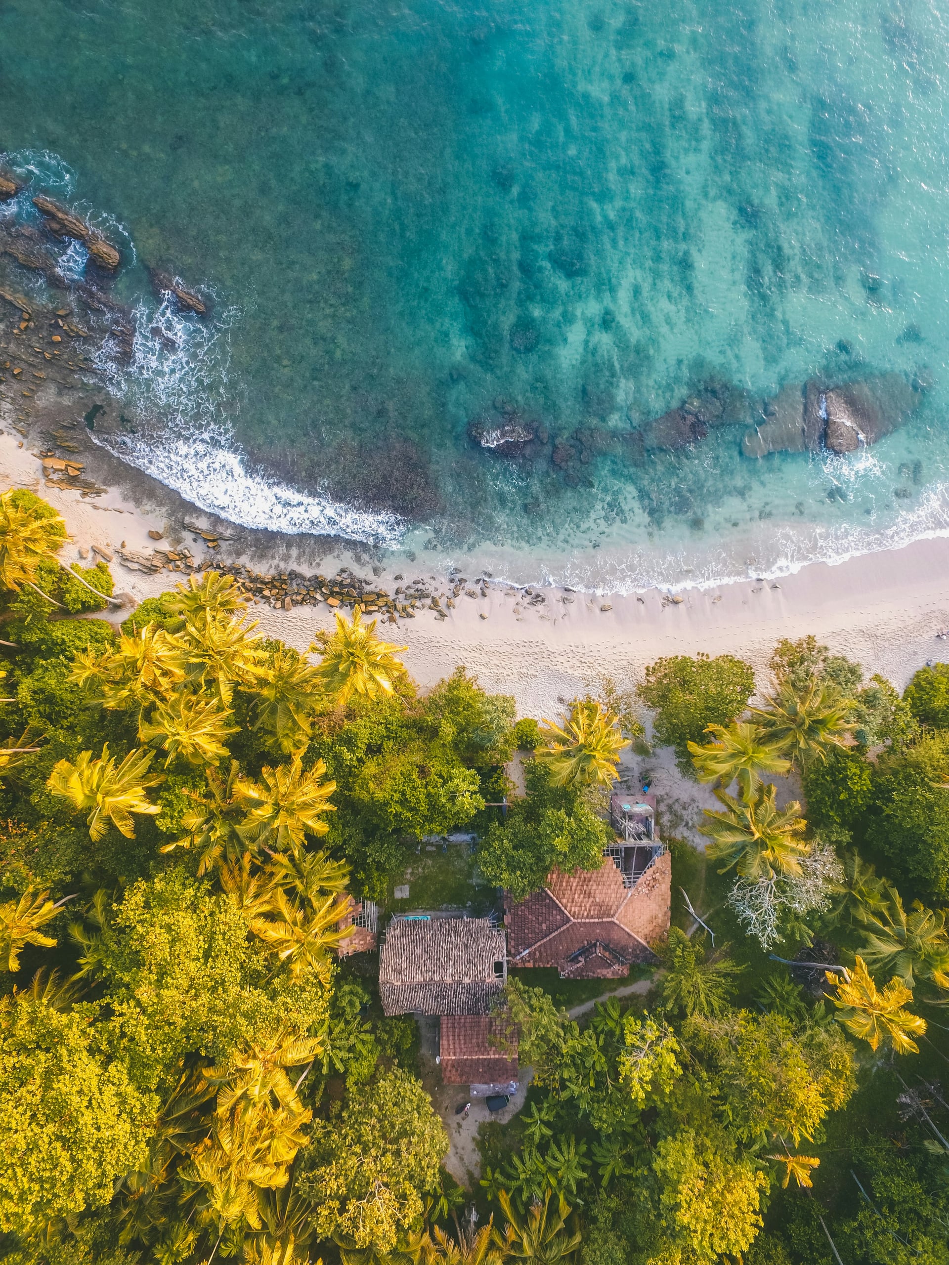 Aerial view of Sri Lanka beach with palm trees and coastal villas