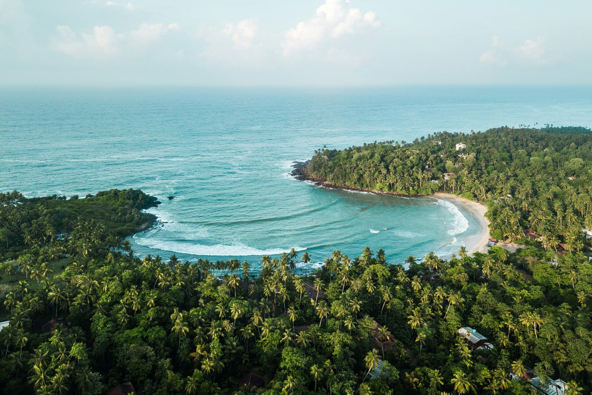 Aerial view of Mirissa bay curved beach with coconut palm canopy