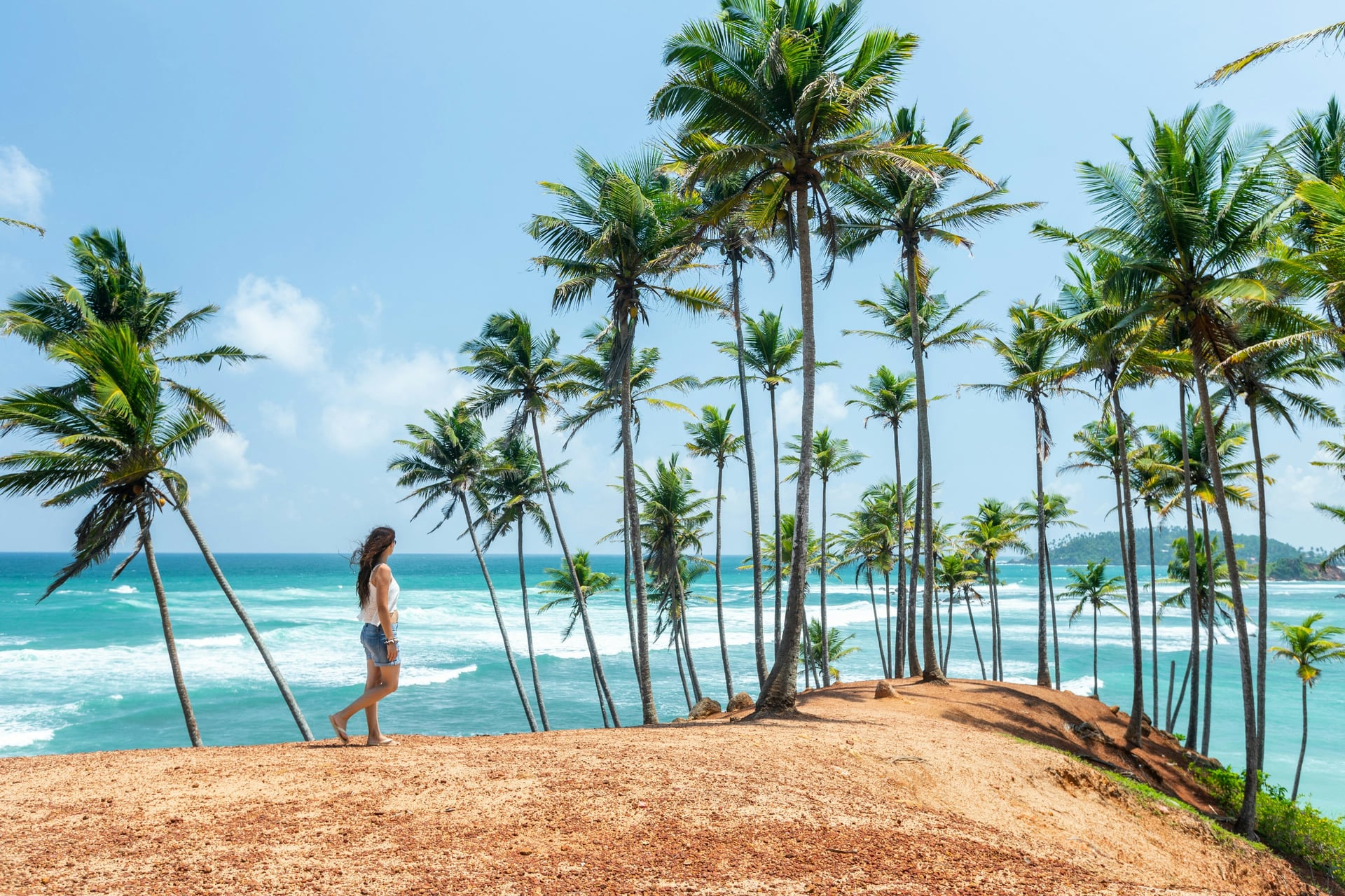 Woman standing among tall coconut palms at Mirissa Coconut Hill viewpoint