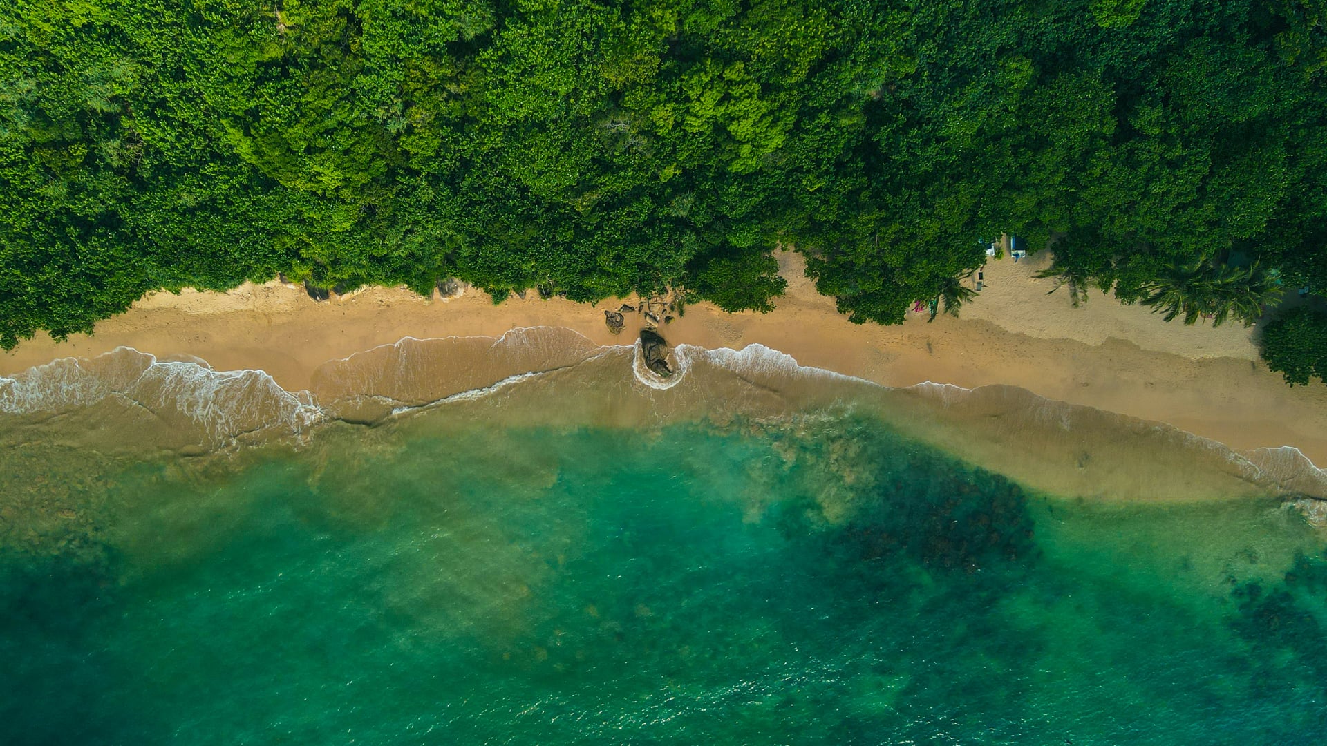 Aerial top-down view of a hidden beach surrounded by dense jungle