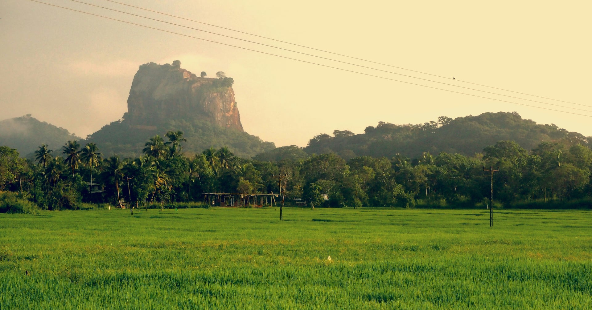 Sigiriya Rock Fortress reflected in golden rice paddy fields at dusk