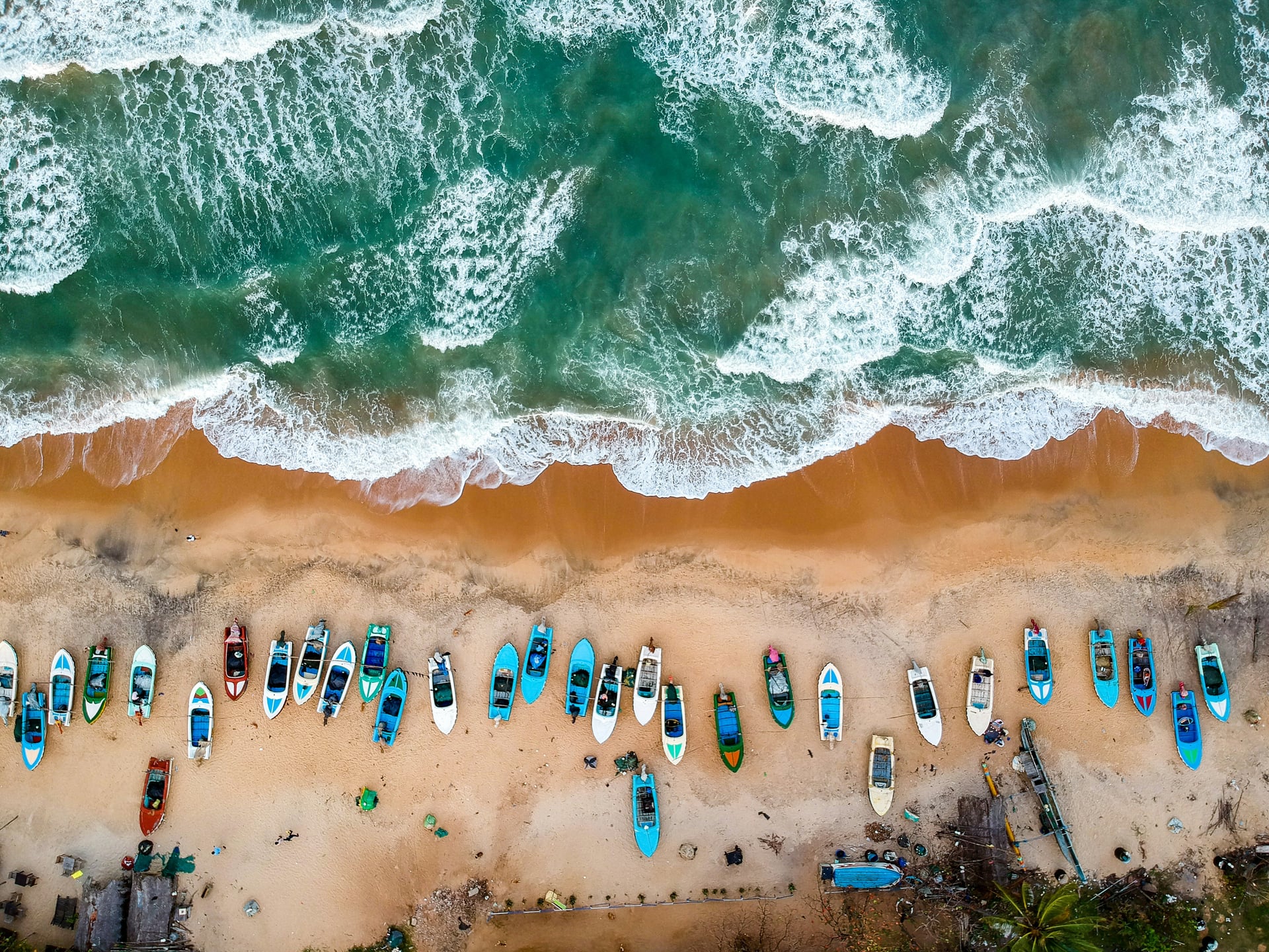 Aerial view of colourful fishing boats lined up on a sandy Sri Lanka beach