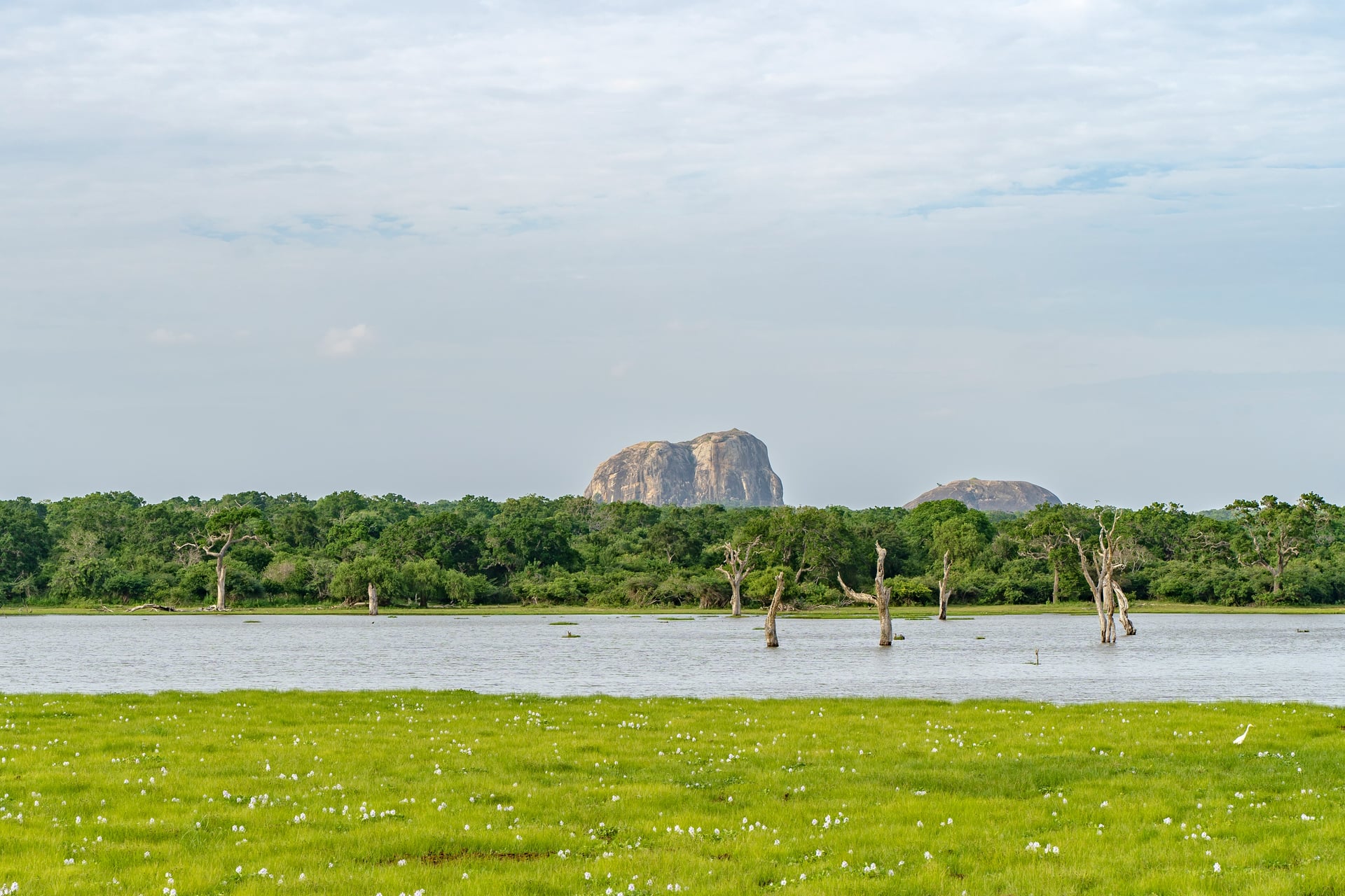 Elephant Rock large granite dome rising above wetlands in Yala National Park
