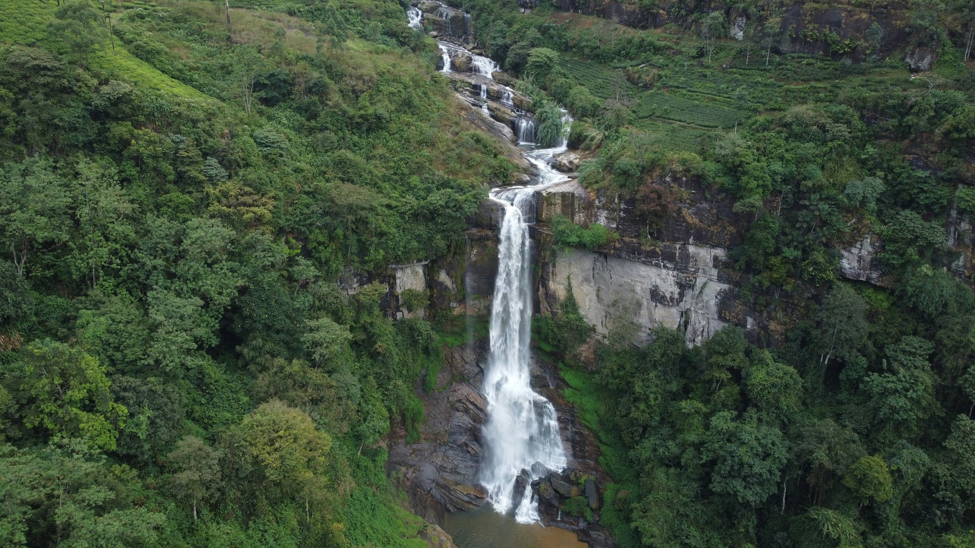 Devon Falls aerial view of waterfall cascading through tea estate jungle