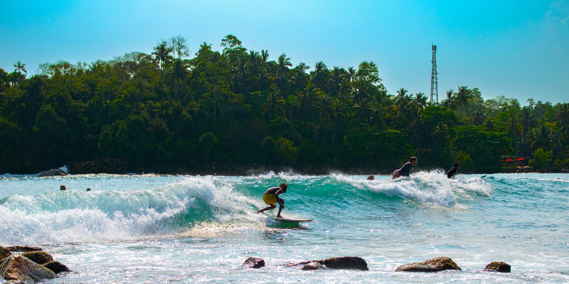 Surfer riding a wave at Arugam Bay surf point on the east coast