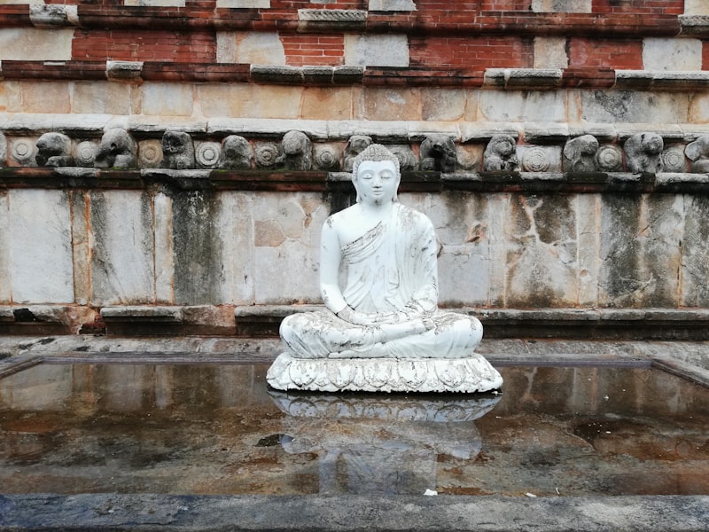The towering Jetavanaramaya stupa rising above the tree line