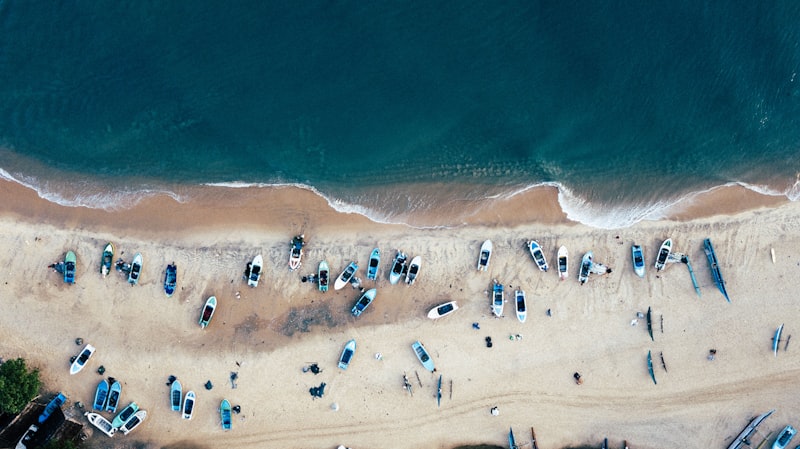 Colourful beach bar with fairy lights and surfers relaxing at sunset in Arugam Bay
