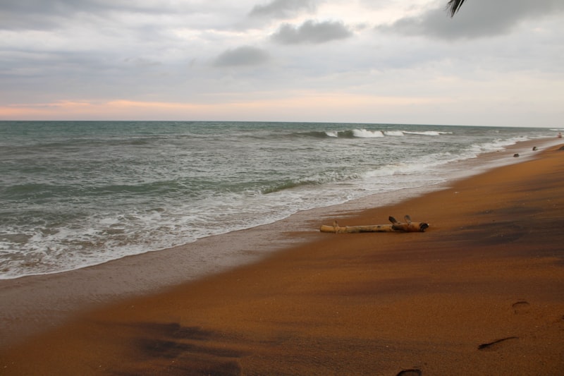 Sunset over the Bentota River with palm trees silhouetted against golden skies