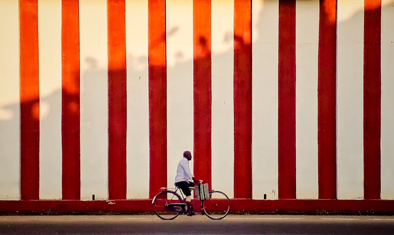 Wild horses roaming the flat sandy landscape of Delft Island