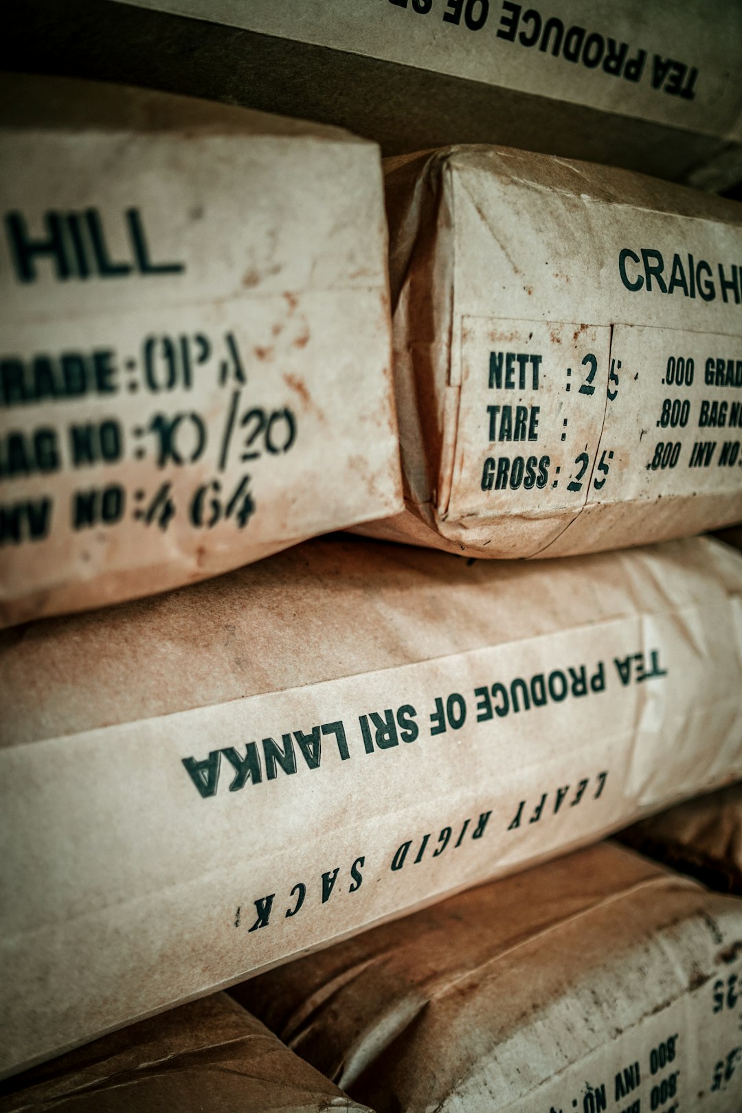 Misty morning over Nuwara Eliya tea estates