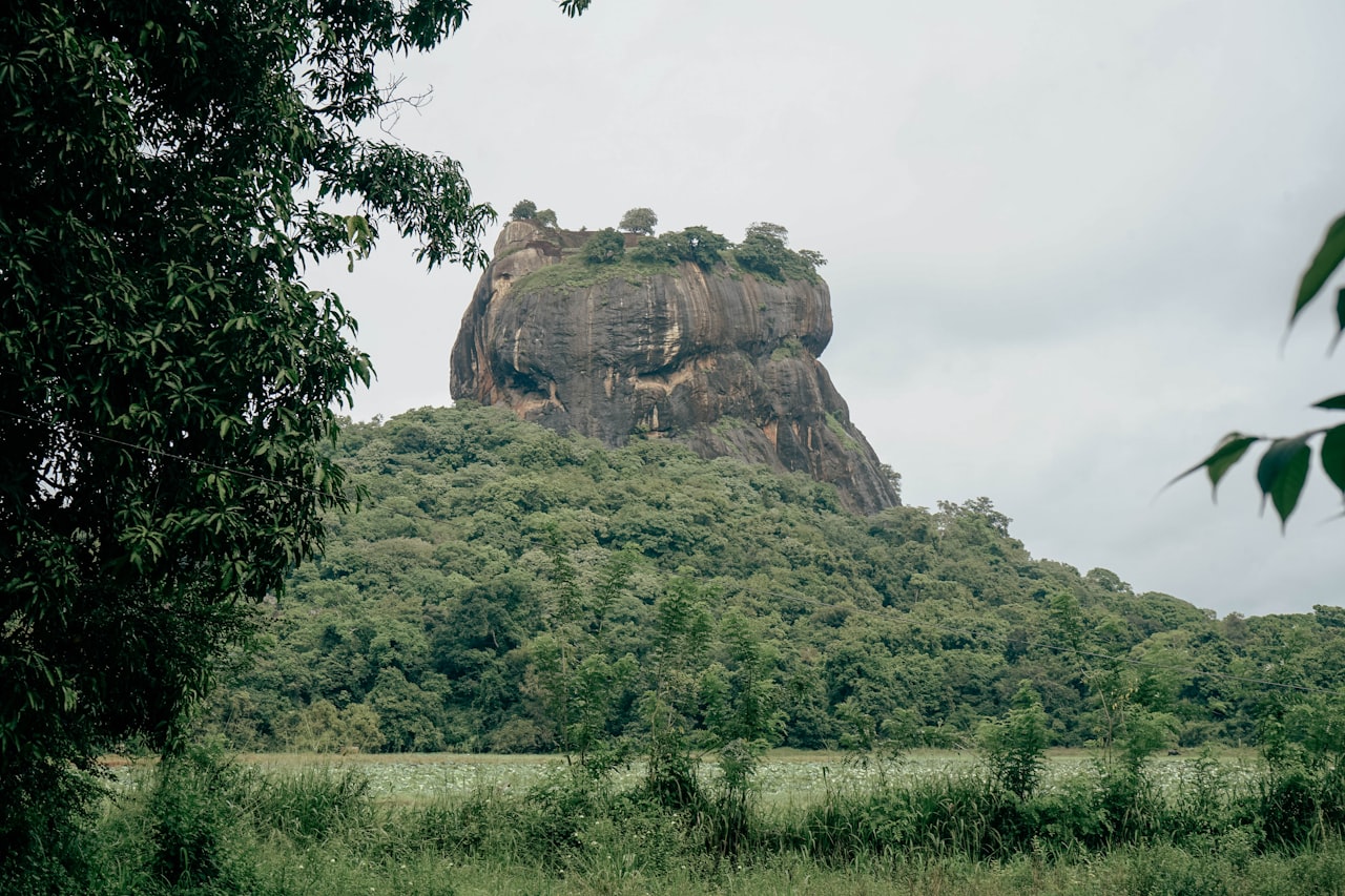 Crumbling stone walls and foundations of the ancient monastery surrounded by jungle