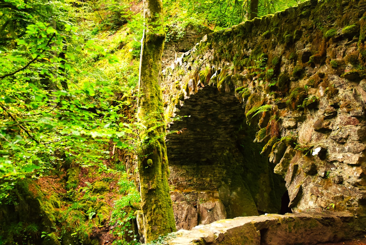 A stone bridge over a dry moat at the entrance to Ritigala monastery