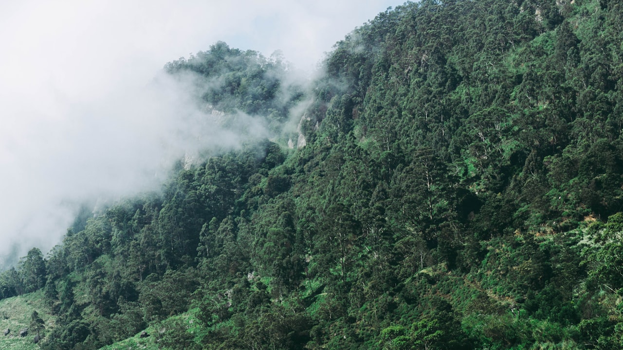 Panoramic view of the Ritigala mountain range rising above the dry zone plains