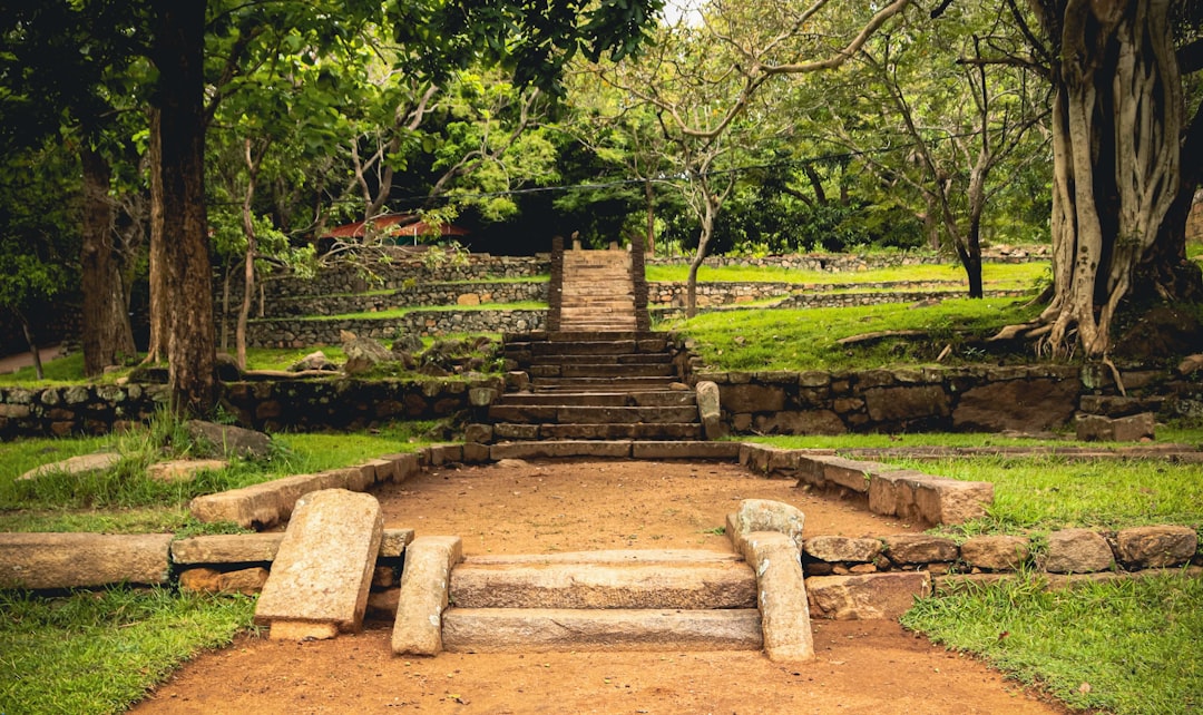 Decorative carved stone staircase with lion figures at Yapahuwa Rock Fortress