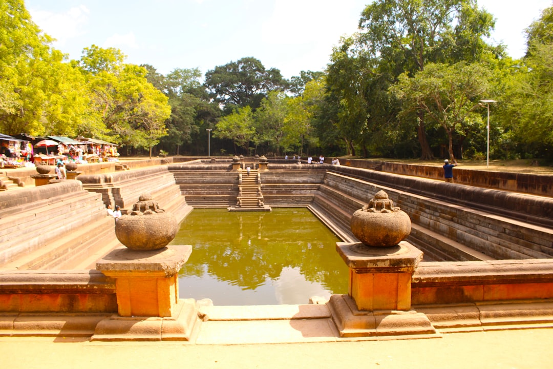 Ruins of ancient Yapahuwa palace structures surrounded by lush greenery